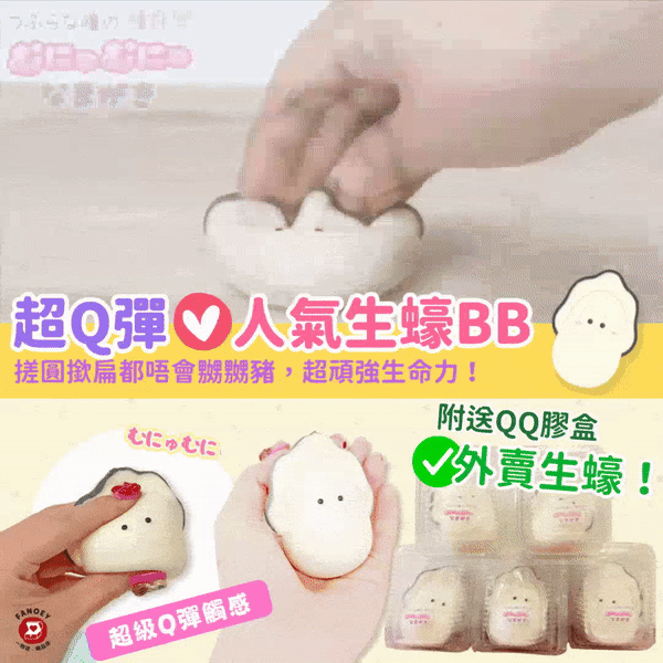日本豆豆眼｜Q彈生蠔BB