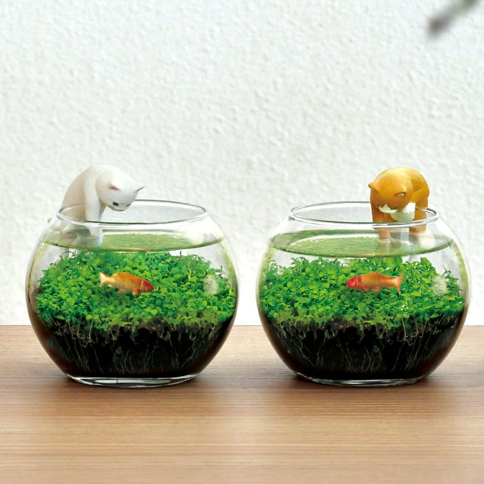 CAT WATER GARDEN